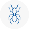 Ant Removals In Staveley