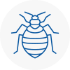 Bed Bug Extermination In Staveley