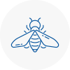 Bee Nest Removal Staveley