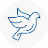 Bird Prevention Staveley