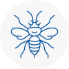 Staveley Hornet Nest Removals