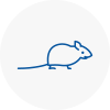 Mice Exterminators In Staveley