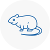 Rat Control Staveley