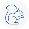 Staveley Rodent Removals